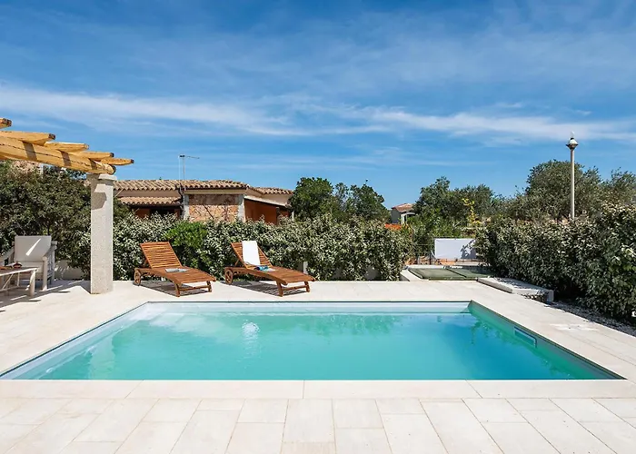 Pet Friendly In San Teodoro